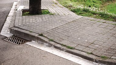 Asfalt ve park arasındaki kaldırım sınırı