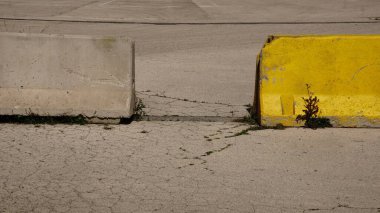 Jersey tipi asfalt üzerinde beton barikat