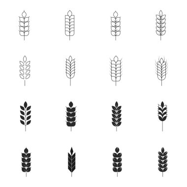 Wheat ears icon. Vector wheat icons isolated on white background