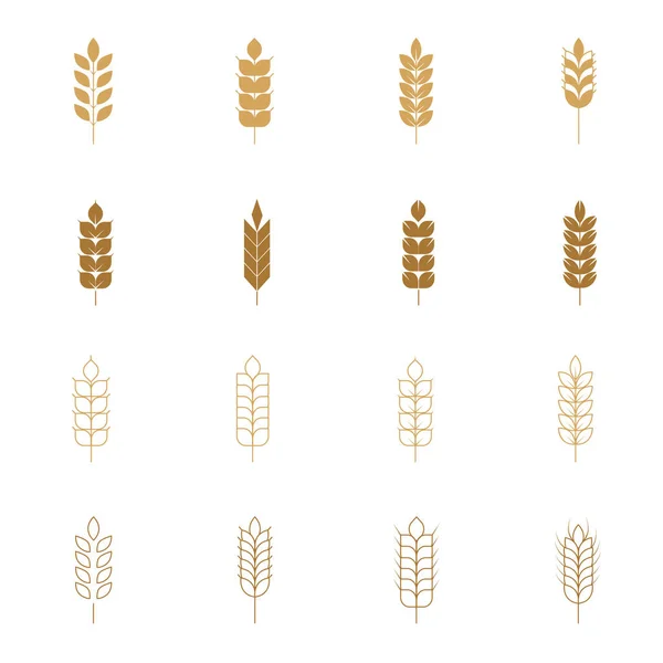 Wheat Ears Icon Vector Wheat Icons Isolated White Background — Stock Vector