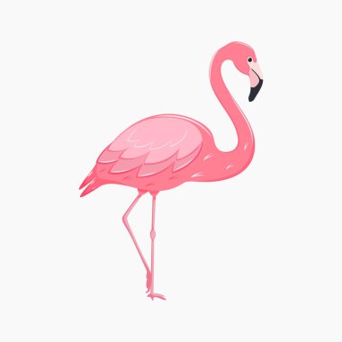 Pembe flamingo. Egzotik tropikal kuş. Sevimli çizgi film karakteri. Dekorasyon elementi. Vektör