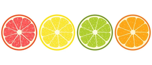 Vector Set Von Zitrusscheiben Grapefruit Orange Limone Limette Symbols Vector — Stockvektor