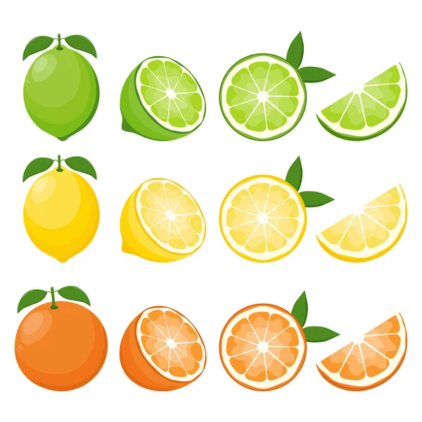Große Vektor Set Von Zitrusfrüchten Orange Zitrone Und Limette Symbole — Stockvektor