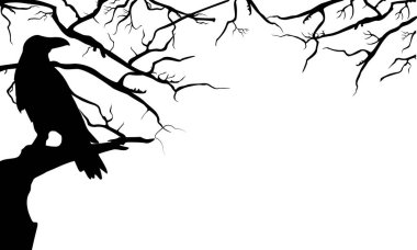 Ağaç brunch 'ında siyah kuzgun. Cadılar Bayramı için kuzgun silueti. Vektör.
