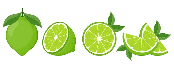 Taze limon meyvesi. Beyaz arkaplanda izole edilmiş kireç vektör simgeleri koleksiyonu.