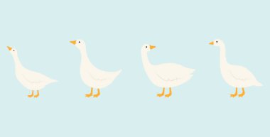 Şirin beyaz kaz ikonları. Vektör