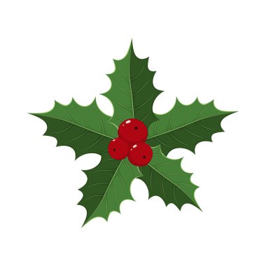 Noel kutsal meyve ikonu. Vektör