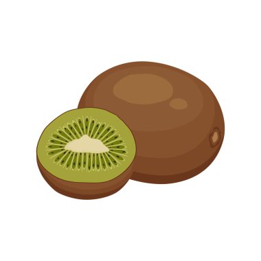 Beyaz arka planda olgun kivi meyve ikonları. Vektör illüstrasyonu