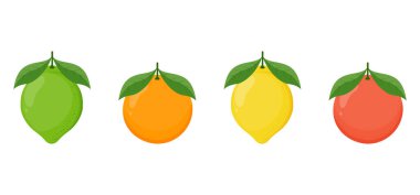 Turuncu, limon ve limon ikonlarından oluşan büyük bir turunçgil seti.