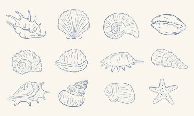 Tek renkli mavi mürekkeple el yapımı deniz kabukları seti. Tropik deniz kabukları. Yaz tatili tasarım elemanları. Vektör illüstrasyonu