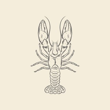Klasik el yapımı ıstakoz. Deniz hayvanının doğrusal vektör çizimi. Tek renkli mürekkep.