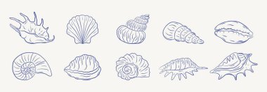 Tek renkli mavi mürekkeple el yapımı deniz kabukları seti. Tropik deniz kabukları. Yaz tatili tasarım elemanları. Vektör illüstrasyonu