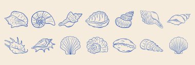Tek renkli mavi mürekkeple el yapımı deniz kabukları seti. Tropik deniz kabukları. Yaz tatili tasarım elemanları. Vektör illüstrasyonu