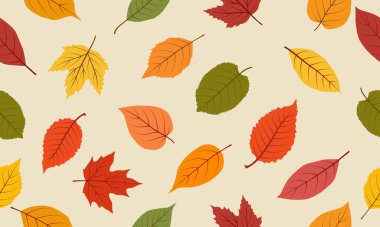 Sonbahar, çeşitli yapraklı, pürüzsüz desen. Ambalaj kağıdı, ambalaj, kumaş ve tekstil için tasarlandı. Vektör