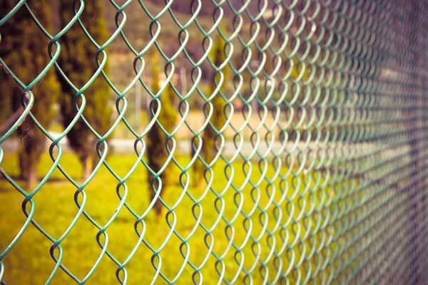 Green Metal Wire Mesh Green Area Toned Image — Stock Photo, Image