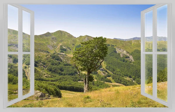 Bergslev Med Ensamt Träd Sett Genom Ett Fönster Bergen Konceptet — Stockfoto