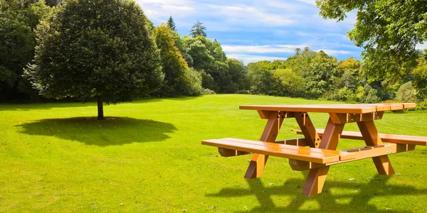 背景上有树木的绿色草地上的野餐桌 — 图库照片