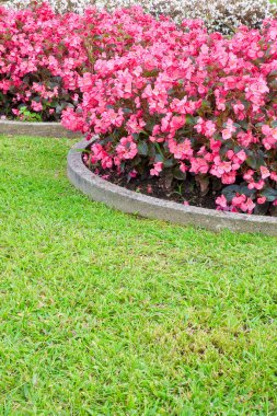 Circular flowerbed with flowers and green lawn