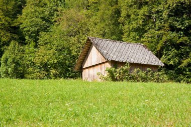 Yeşil çim çim ile bir dağ ormanında Ahşap yazlık - kopya alanı ile görüntü