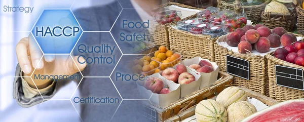 Conceito Haccp Hazard Analysis Critical Control Points Fruta Fresca Segurança — Fotografia de Stock