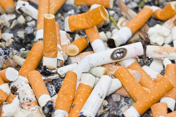 stock image Cigarettes brought together in a cigarette case