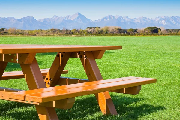 Стол Пикника Зеленом Лугу Общественном Парке Горами Заднем Плане — стоковое фото