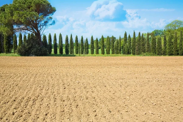 Bepflügtes Feld Bereit Für Die Aussaat Mit Bäumen Auf Dem — Stockfoto