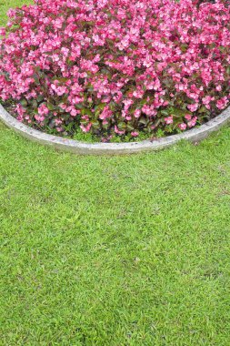 Circular flowerbed with flowers and green lawn