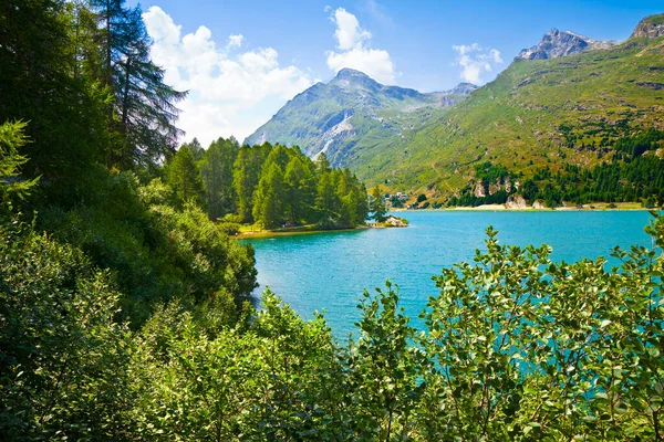 Der Silser See Oberengadin Einem Sommertag Europa Schweiz lizenzfreie Stockfotos
