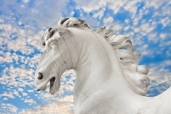 White stone horse statue against a cloudy sky - Belvedere garden Wien, Europe - Statue built in 1723 approximately