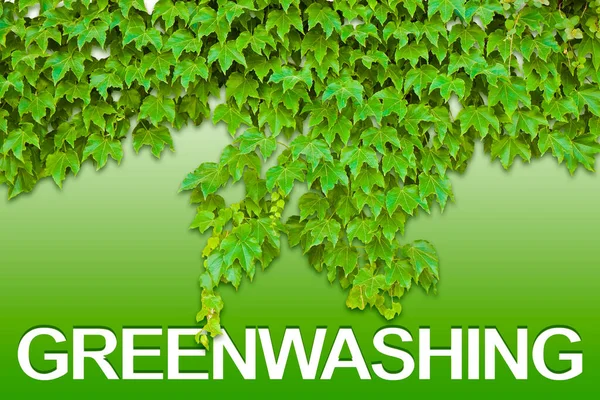 Инфографическая Концепция Greenwashing Текстом Против Зеленой Листвы — стоковое фото