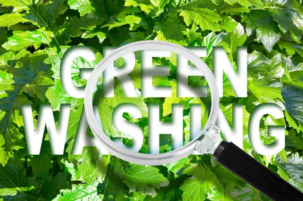 Alert Greenwashing Concetto Con Testo Contro Una Pianta Verde Lente — Foto Stock