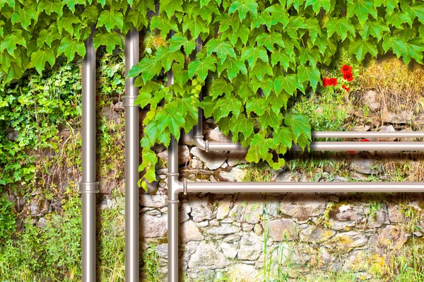 Water Gas Hydraulics Pipeline Front Old Wall Covered Ivy — Stock Photo, Image