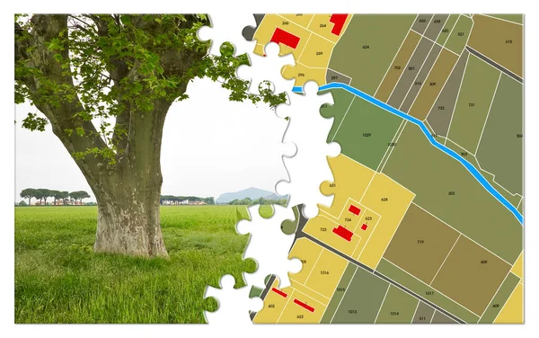 Föreställ Dig Land Ccdastral Karta Med Ensam Träd Landsbygd Scen — Stockfoto