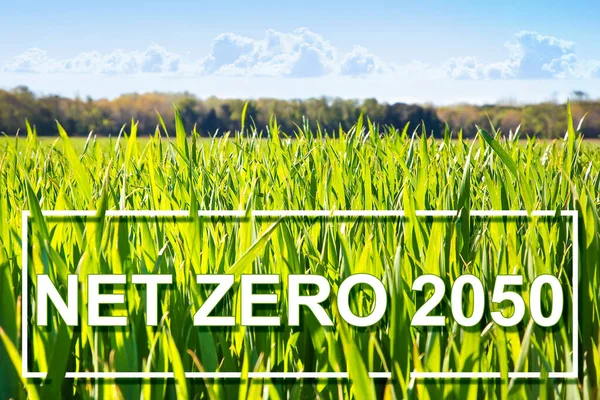 CO2 Net-Zero Emission and Carbon Neutrality concept against a rural scen