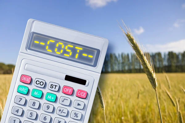 stock image Increase in the cost of wheat - concept with calculator an text written on it