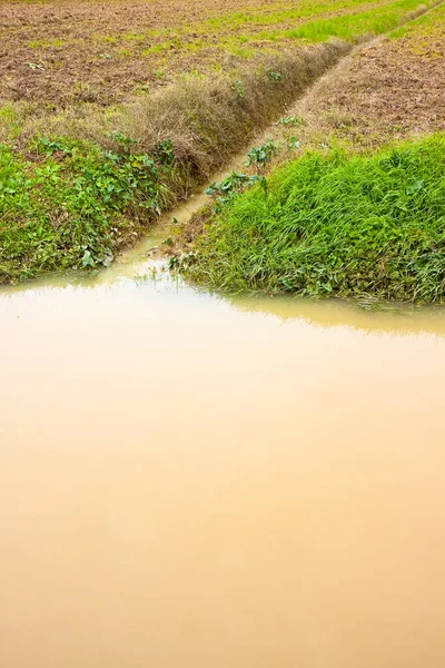stock image Full water ditch in a field after torrential rain