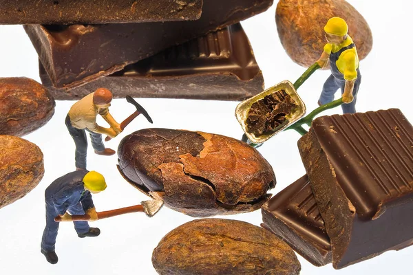 Chocolate processing, production and preparing - concept with miniatures of construction workers and cocoa beans