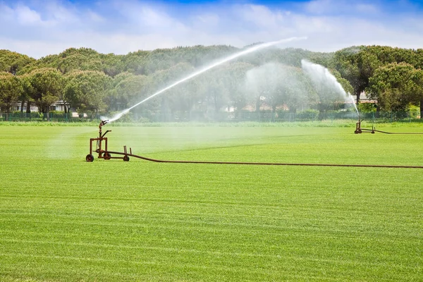 绿色修剪草坪上的金属灌溉器 — 图库照片