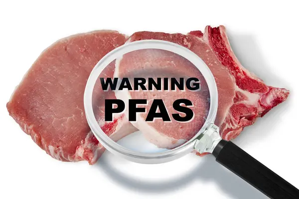 Fresh Pork Steak Haccp Hazard Analysis Critical Control Points Searching — Stock Photo, Image