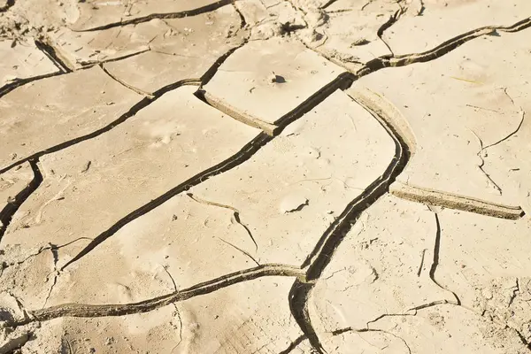 Cracked barren ground, the effects of climate change - Infertile land burned by the sun, famine and poverty concept