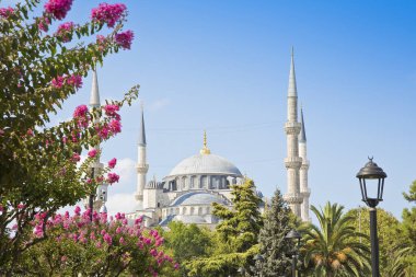 İstanbul 'daki tarihi bir cami (İstanbul, Sultanahmet, Türkiye))