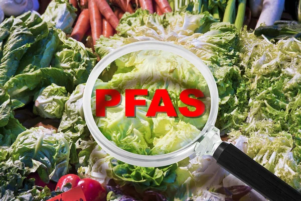 Pfas Pfos Pfoa Pfna Pfhxs Dangerous Synthetic Substances Fruit Vegetable — Stock Photo, Image