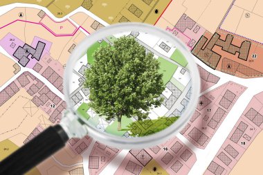 Kadastro arazisi olan hayali bir şehir haritasına karşı yalnız ağaç, halk parkı ve doğal yeşil arazili kentsel plan - büyütme kavramı 