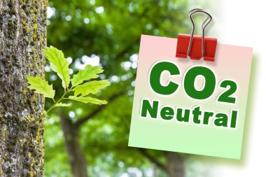 CO2 Net-Zero emisyonu - Ağaç gövdesinden doğan küçük bir bitkiye karşı karbon nötralite kavramı