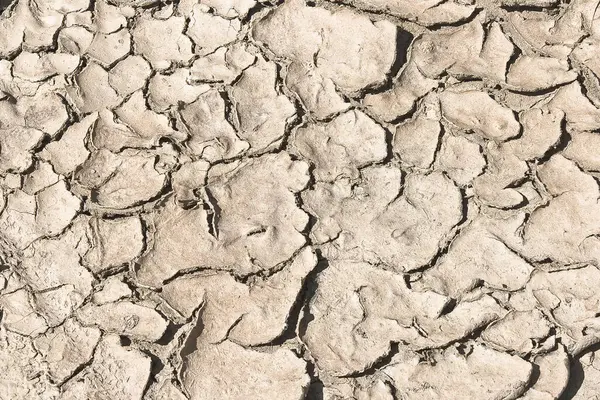 Çatlamış, kurak ve çorak toprak, çölleşmenin bir sonucu ve kurak bir iklim - güneş tarafından kavrulan verimsiz toprak.