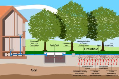 SEPTIC SYSTEM CONCEPT ILLUSTRATION - Septic drain fields, also called leach fields or leach drains are subsurface wastewater disposal facilities clipart