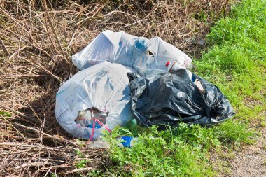 Doğada terk edilmiş plastik torbalarla yasadışı boşaltma.