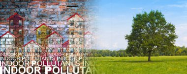 İçerideki hava kirleticileri binanın arka planında - yeşil bir alanda yalnız bir ağaçla görüntüyü birleştir.