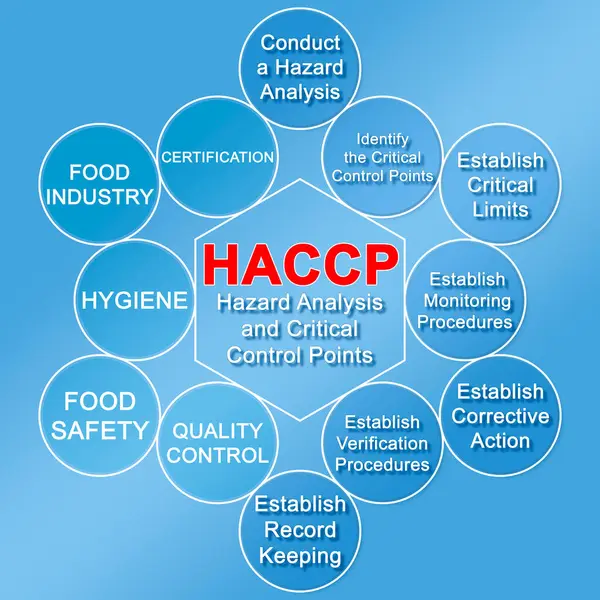 HACCP planları hakkında yedi temel prensip (Tehlikeli Analiz ve Kritik Kontrol Noktaları) - Gıda endüstrisi bilgi bilişim konseptinde Gıda Güvenliği ve Kalite Kontrolü.